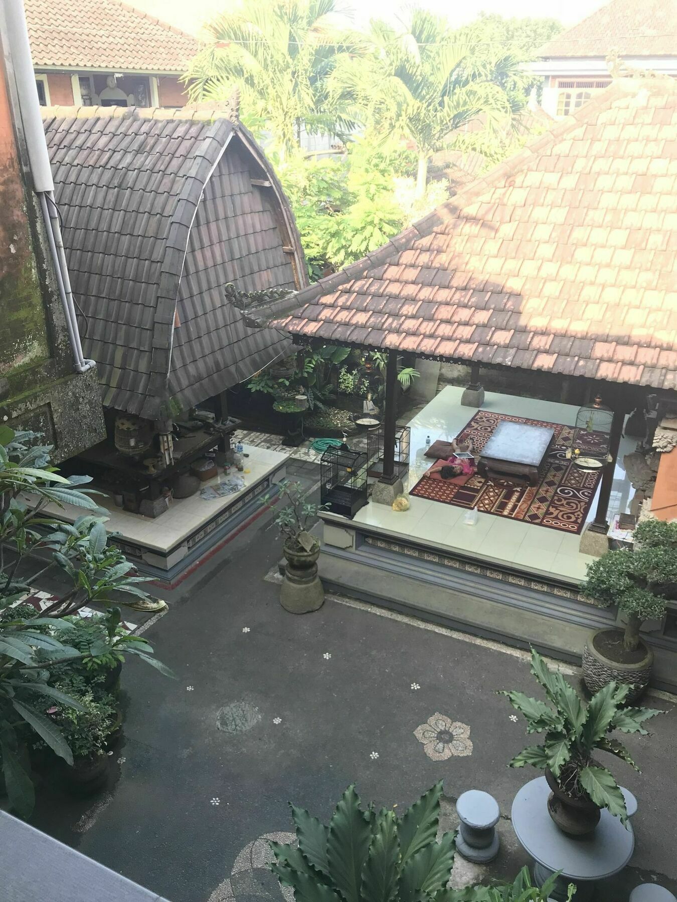 Kacu