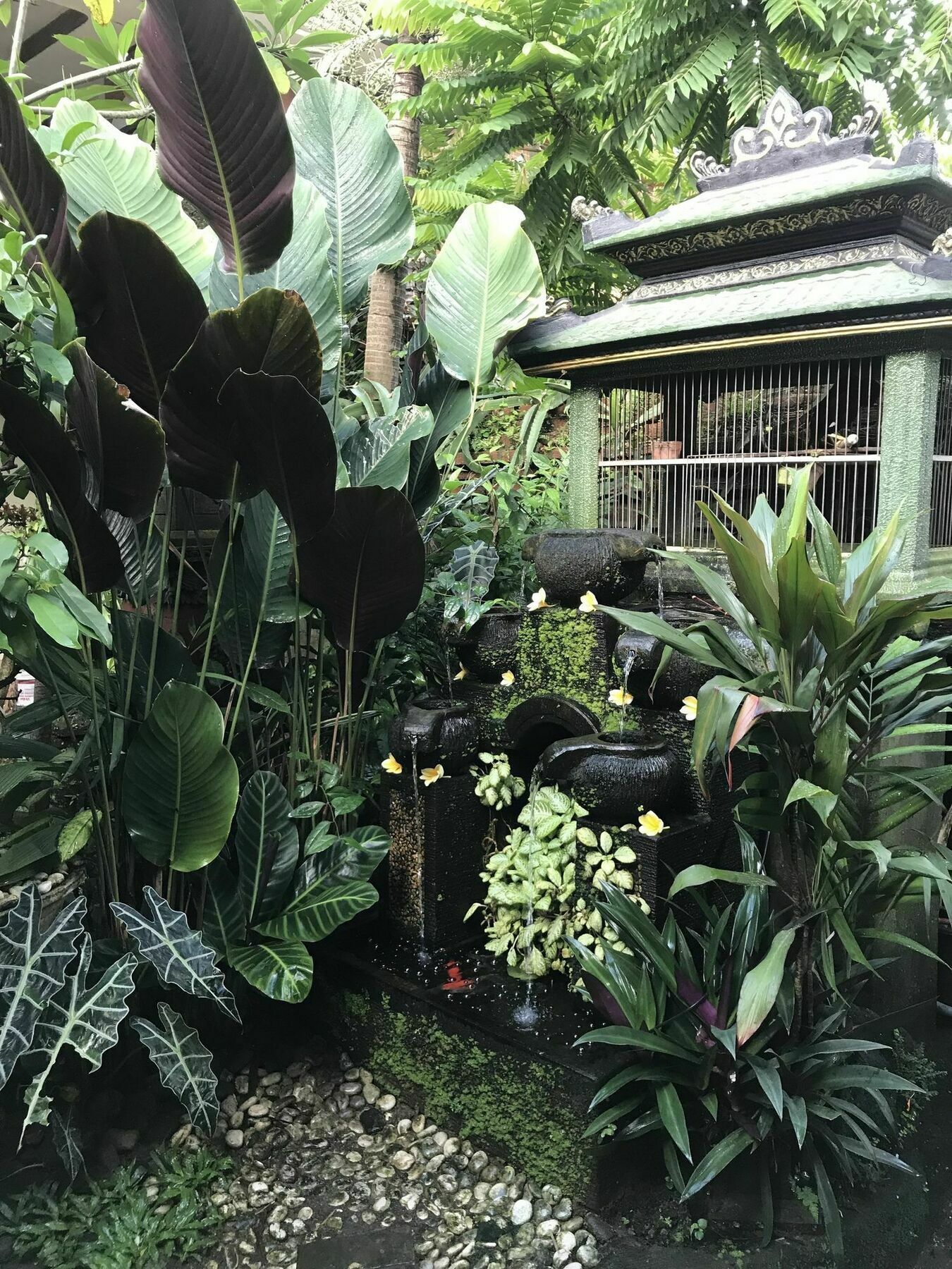 Kacu 3* Ubud