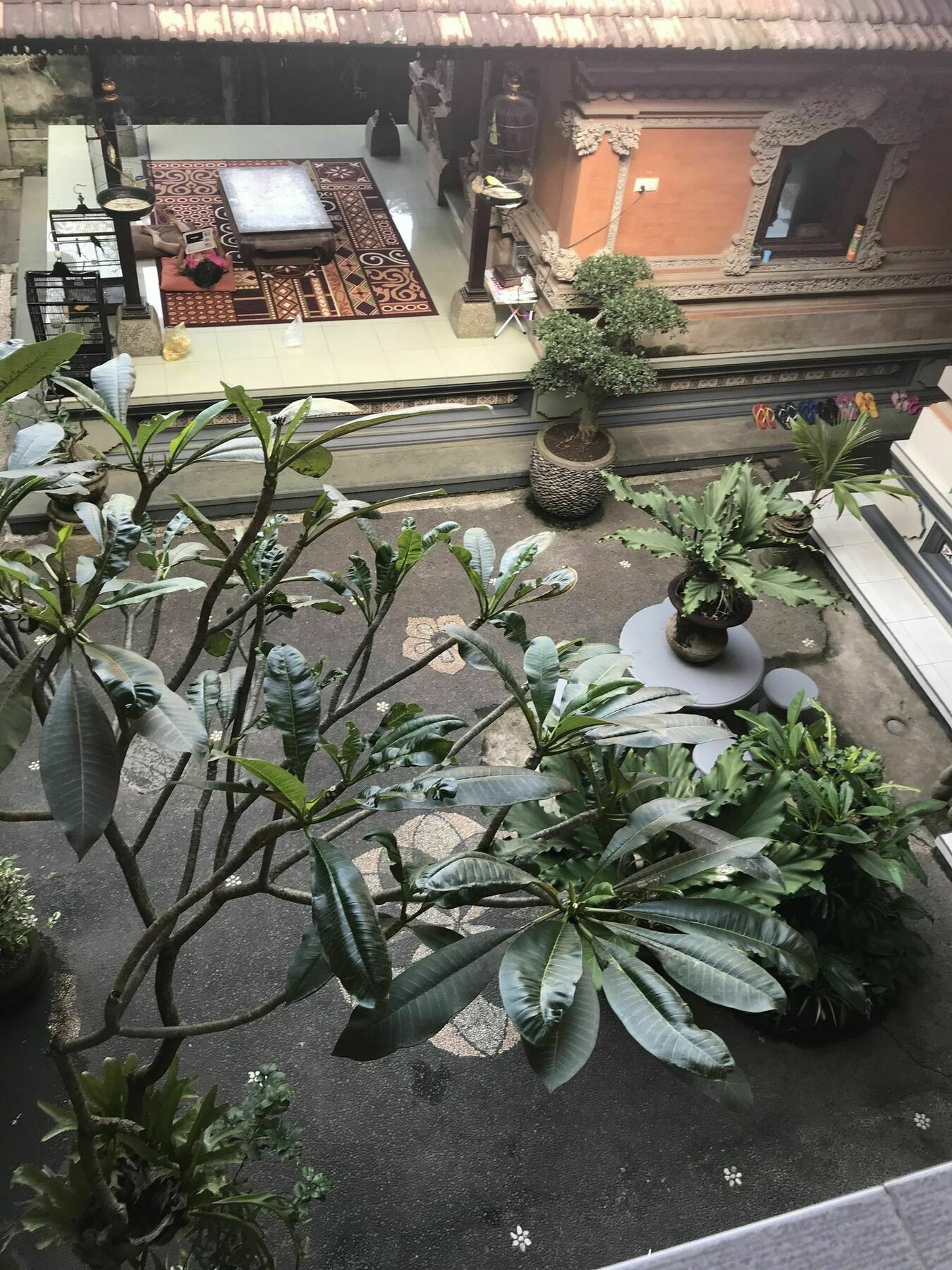 Kacu 3* Ubud